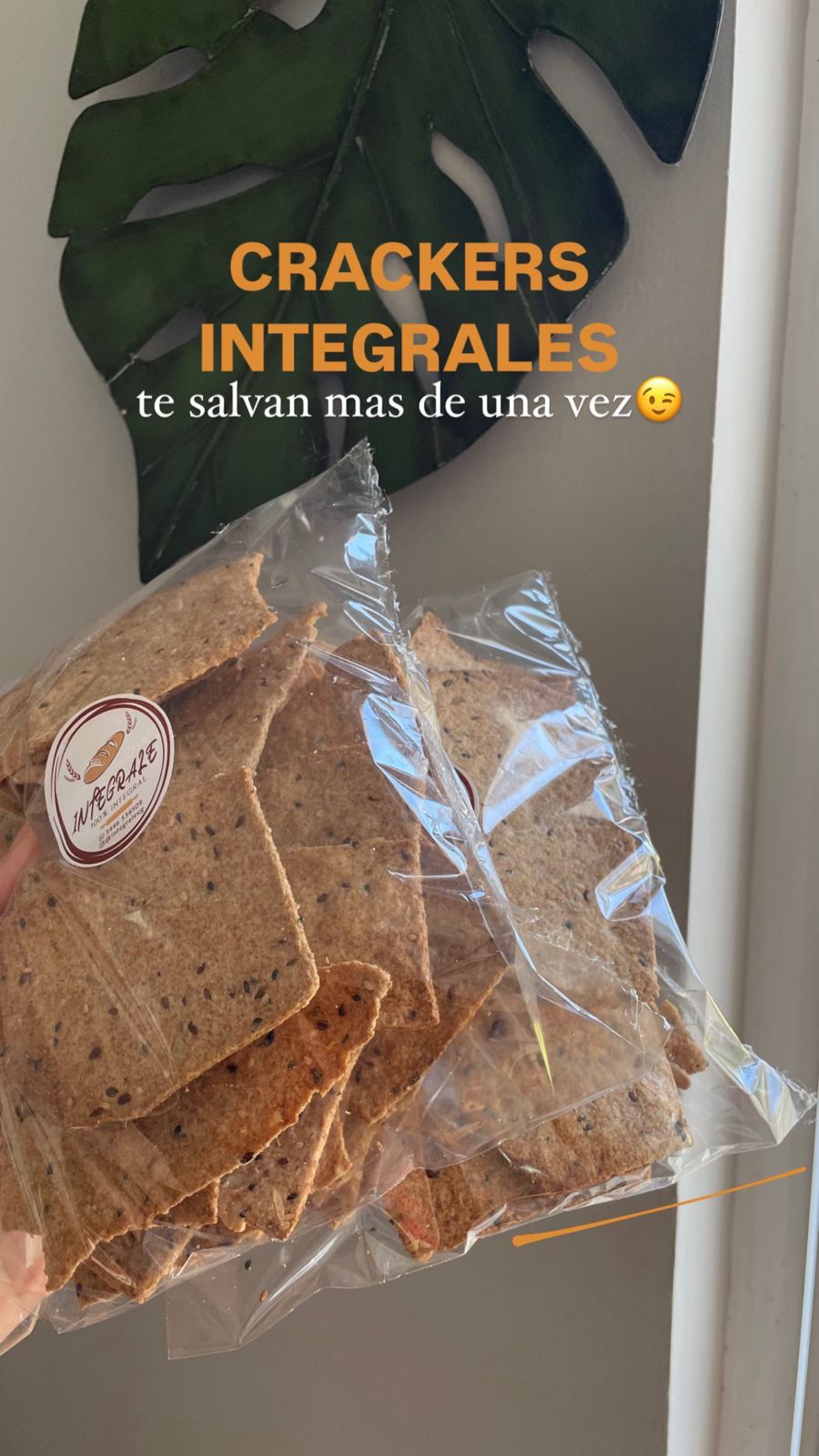 Crackers con semillas (bolsa 250g)